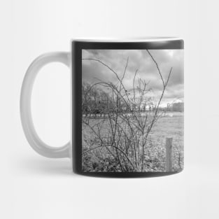 Bramble in the English countryside Mug